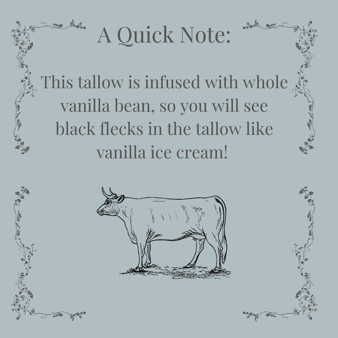 Infused Whipped Tallow | Vanilla Bean