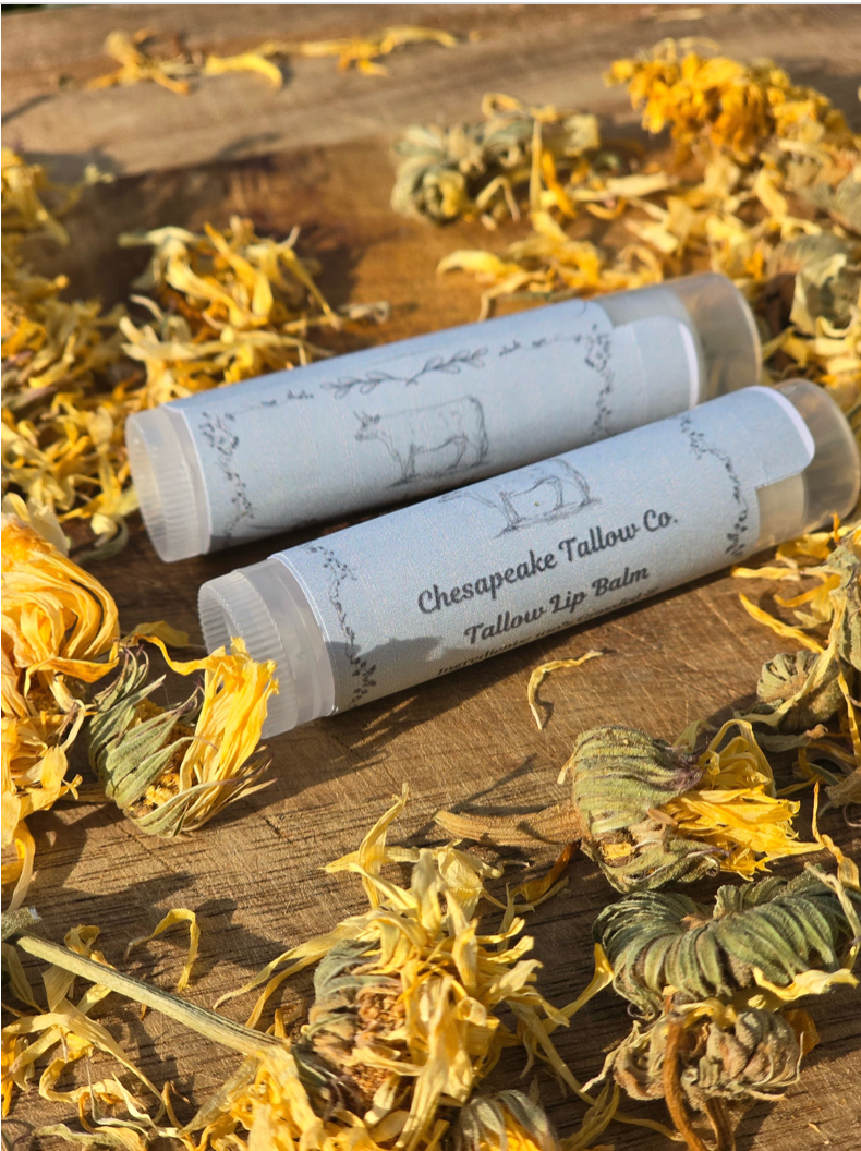 Tallow & Raw Honey Lip Balm